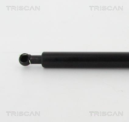 Vérin (Vérin de hayon) Triscan A/S 8710 42242