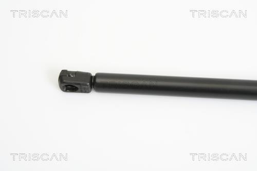 Vérin (Vérin de hayon) Triscan A/S 8710 43101