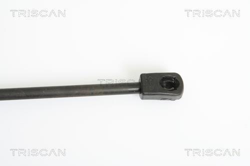 Vérin (Vérin de hayon) Triscan A/S 8710 43101