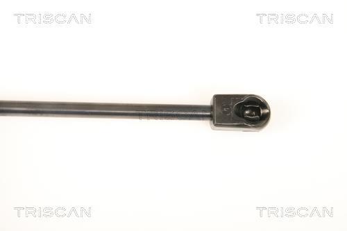 Vérin (Vérin de hayon) Triscan A/S 8710 43102