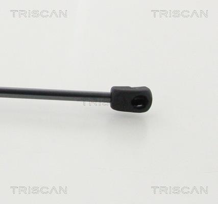 Vérin (Vérin de hayon) Triscan A/S 8710 43104
