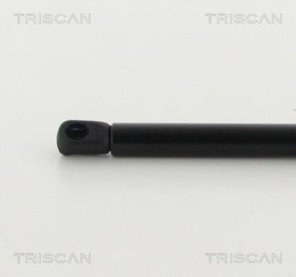 Vérin (Vérin de hayon) Triscan A/S 8710 43104