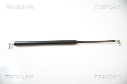 Muelle neumático Triscan A/S ref. 8710 43208