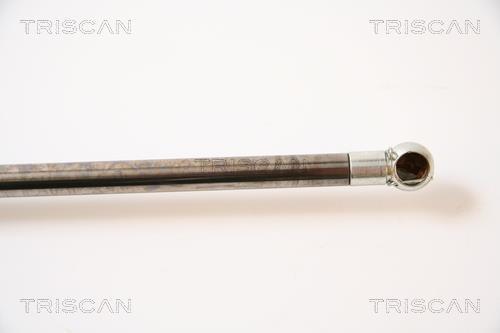 Muelle neumático Triscan A/S ref. 8710 43209