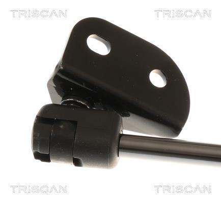 Vérin (Vérin de hayon) Triscan A/S 8710 43211