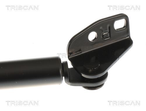 Vérin (Vérin de hayon) Triscan A/S 8710 43211