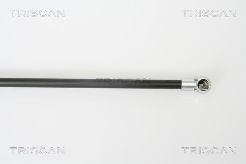 Vérin (Vérin de hayon) Triscan A/S 8710 43215