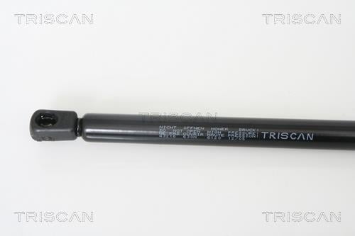 Vérin (Vérin de hayon) Triscan A/S ref. 8710 43216
