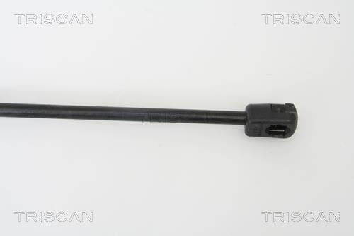 Vérin (Vérin de hayon) Triscan A/S ref. 8710 43216