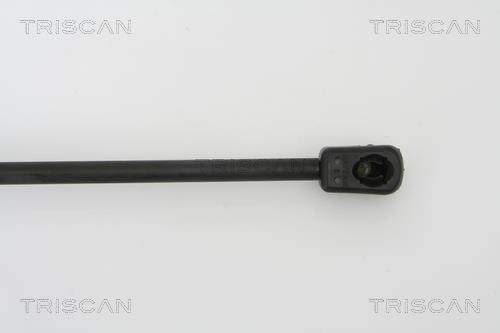 Vérin (Vérin de hayon) Triscan A/S 8710 43217