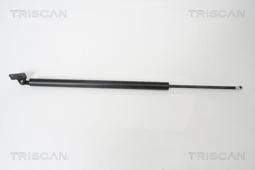 Muelle neumático Triscan A/S ref. 8710 43219