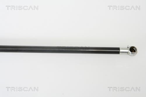 Muelle neumático Triscan A/S ref. 8710 43219