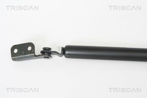Cilindro Triscan A/S 8710 43221