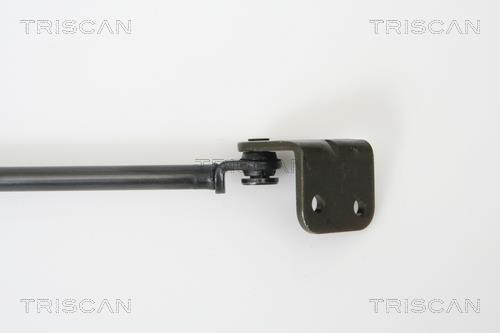 Cilindro Triscan A/S 8710 43221