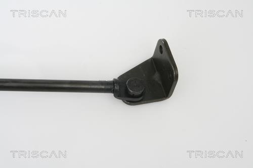 Vérin (Vérin de hayon) Triscan A/S ref. 8710 43222