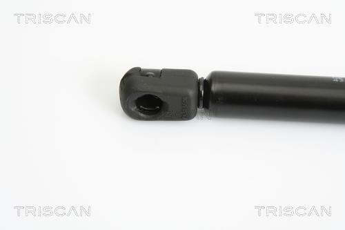 Vérin (Vérin de hayon) Triscan A/S 8710 43223