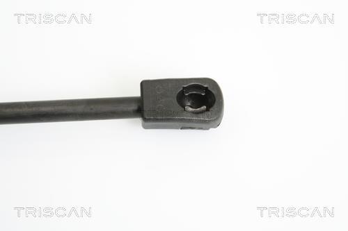 Vérin (Vérin de hayon) Triscan A/S 8710 43223