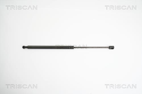 Vérin (Vérin de hayon) Triscan A/S 8710 43224