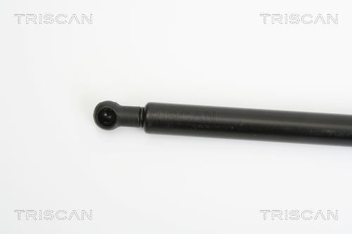 Vérin (Vérin de hayon) Triscan A/S 8710 43224