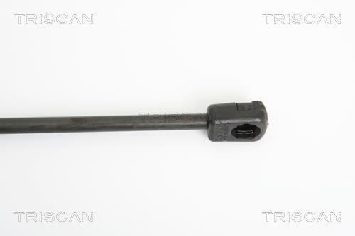 Vérin (Vérin de hayon) Triscan A/S 8710 43224