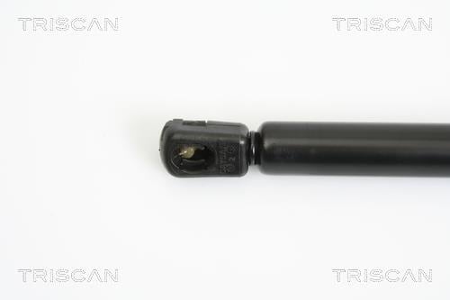 Vérin (Vérin de hayon) Triscan A/S 8710 43225