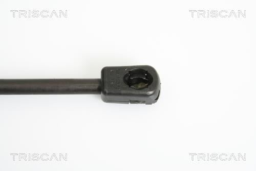 Vérin (Vérin de hayon) Triscan A/S 8710 43225