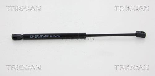 Muelle neumático Triscan A/S ref. 8710 43226