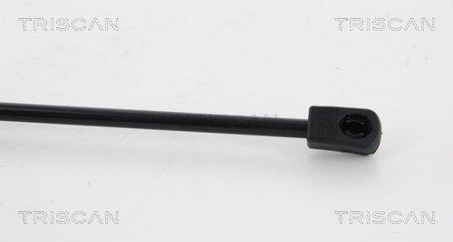 Muelle neumático Triscan A/S ref. 8710 43226