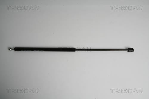 Vérin (Vérin de hayon) Triscan A/S 8710 43227