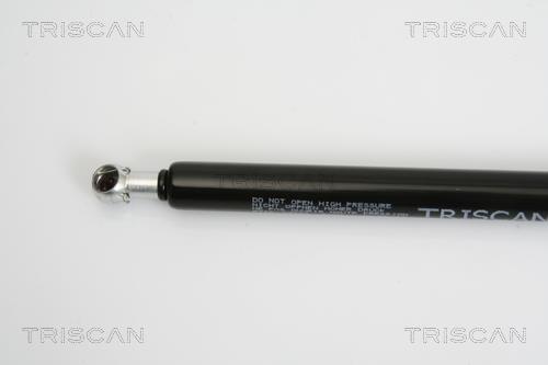 Vérin (Vérin de hayon) Triscan A/S 8710 43227