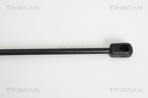 Vérin (Vérin de hayon) Triscan A/S 8710 43227
