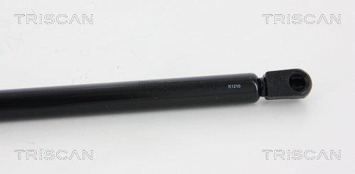 Cilindro Triscan A/S 8710 43228