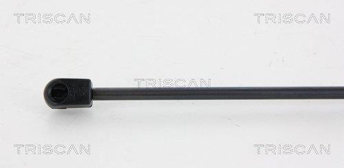 Cilindro Triscan A/S 8710 43228