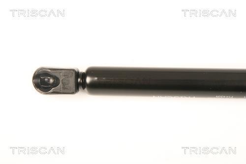 Vérin (Vérin de hayon) Triscan A/S 8710 43231