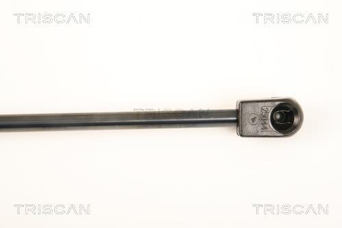 Vérin (Vérin de hayon) Triscan A/S 8710 43231