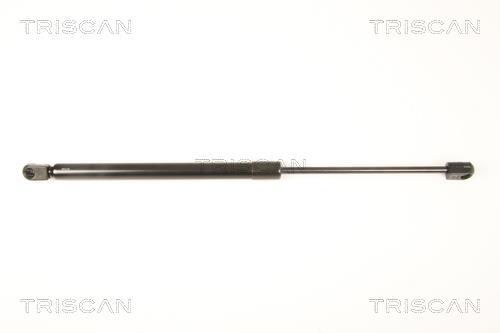 Muelle neumático Triscan A/S ref. 8710 43232
