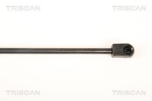 Muelle neumático Triscan A/S ref. 8710 43232