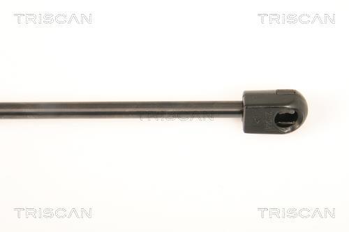 Vérin (Vérin de hayon) Triscan A/S ref. 8710 43233