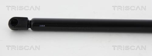 Vérin (Vérin de hayon) Triscan A/S 8710 43235