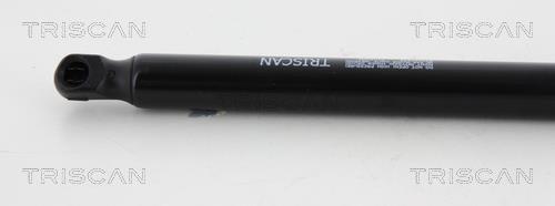 Muelle neumático Triscan A/S ref. 8710 43236