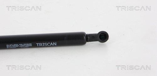 Vérin (Vérin de hayon) Triscan A/S 8710 43237