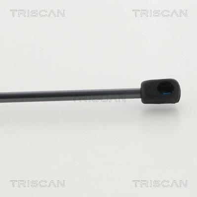 Cilindro Triscan A/S 8710 43243