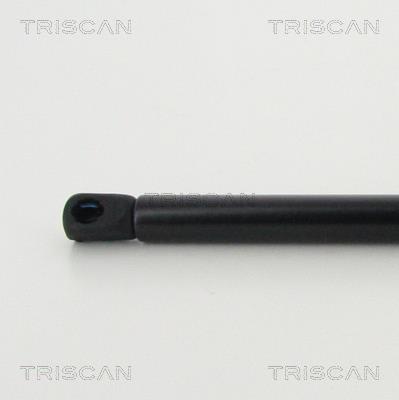 Cilindro Triscan A/S 8710 43243
