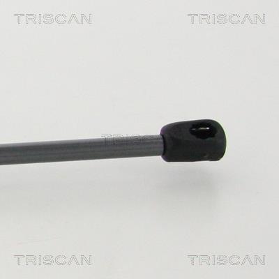 Vérin (Vérin de hayon) Triscan A/S 8710 43245