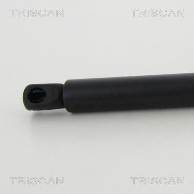 Vérin (Vérin de hayon) Triscan A/S 8710 43245