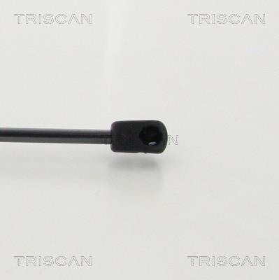 Vérin (Vérin de hayon) Triscan A/S 8710 43246