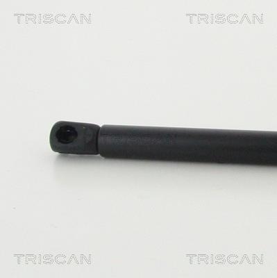 Vérin (Vérin de hayon) Triscan A/S 8710 43246
