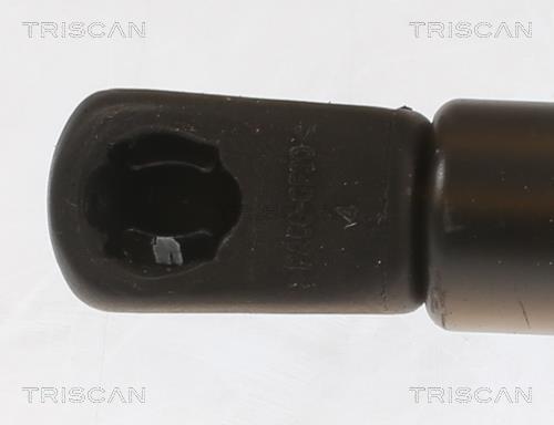 Cilindro Triscan A/S ref. 8710 43247
