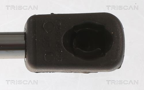 Cilindro Triscan A/S ref. 8710 43247