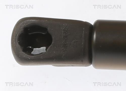 Vérin (Vérin de hayon) Triscan A/S 8710 43248